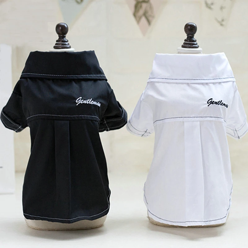 Dog clothing spring/summer 2019 new dog clothing cat clothing casual pet T-shirt wholesale spot
Dog clothing spring/summer 2019 new dog clothing cat clothing casual pet T-shirt wholesale spot