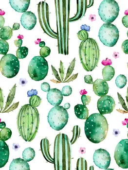 Cactus green plant backdrop Photogrpahy backdrops floral background decoration birthday party background newborn props XT-6587
Cactus green plant backdrop Photogrpahy backdrops floral background decoration birthday party background newborn props XT-6587