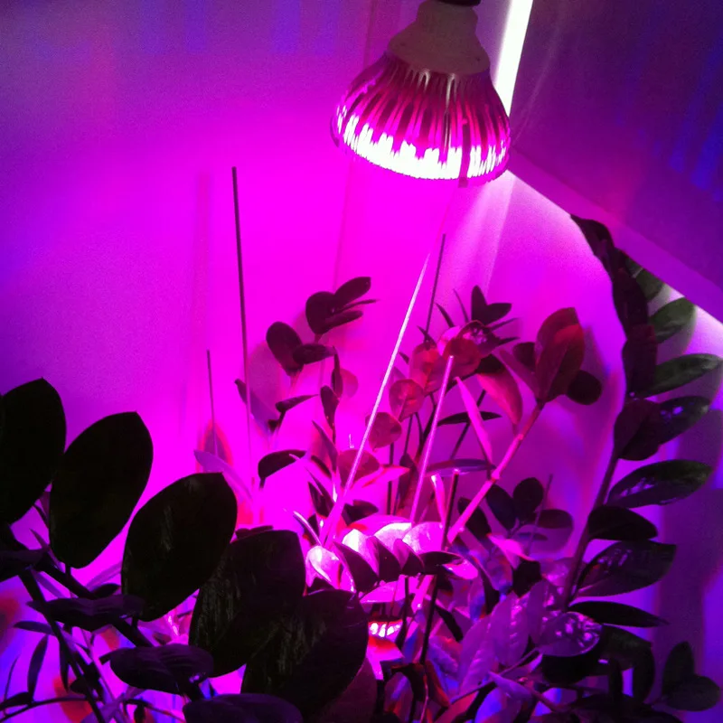 Горячая дешевая E27 светодиодная лампа для выращивания растений с полным спектром