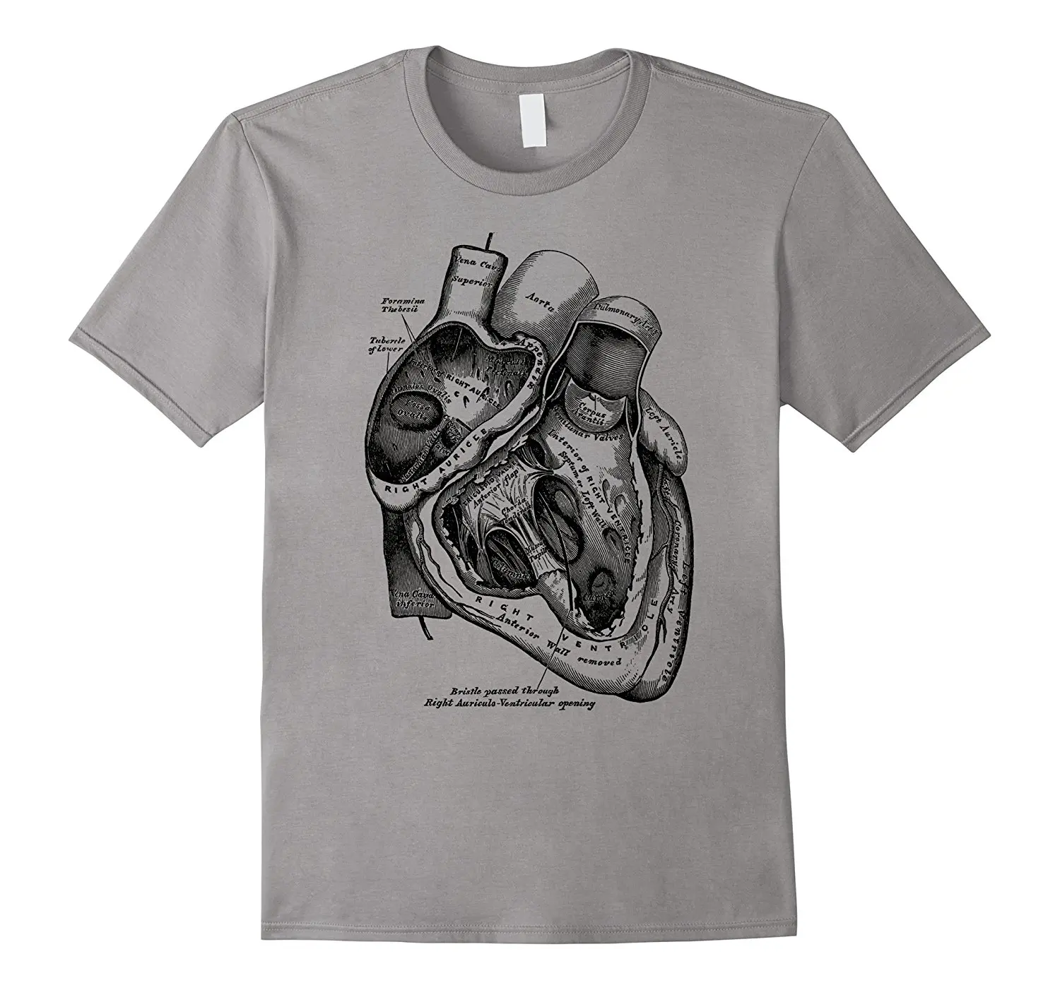 2019 New Short Sleeve Casual Anatomical Heart T-Shirt Medical Anatomy Illustration Summer Casual Man T Shirt Good Quality
2019 New Short Sleeve Casual Anatomical Heart T-Shirt Medical Anatomy Illustration Summer Casual Man T Shirt Good Quality