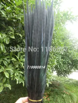 Free Shipping 20pcs/lot ringneck pheasant tail feather 50-55cm 20-22" off black dyed pheasant feather tail wedding decor 
Free Shipping 20pcs/lot ringneck pheasant tail feather 50-55cm 20-22" off black dyed pheasant feather tail wedding decor
