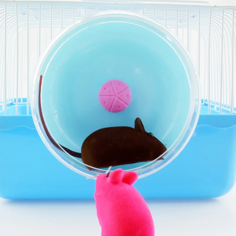 Hamster Exercise Wheel Silent Spinner Gerbil 12/14/16cm Hamster Cage Running Exercise Wheel Small Pets Toy Hamster Accessories
Hamster Exercise Wheel Silent Spinner Gerbil 12/14/16cm Hamster Cage Running Exercise Wheel Small Pets Toy Hamster Accessories