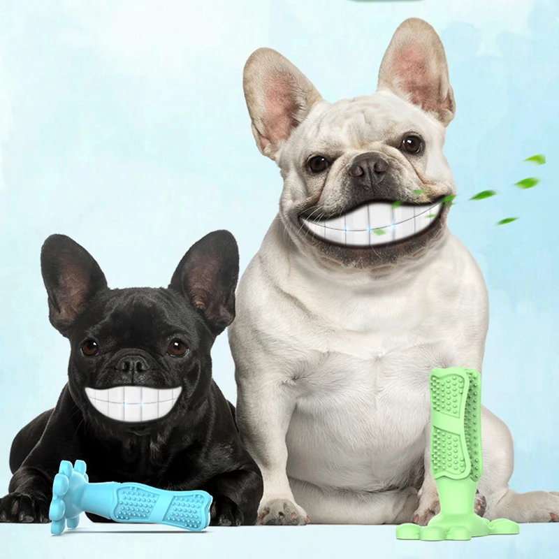 1PC Dog Toothbrush Stick Pet Toothbrush Cleaning Chew Toy Teddy Teeth Care Products Cleaning Mouth Dog Supplies
1PC Dog Toothbrush Stick Pet Toothbrush Cleaning Chew Toy Teddy Teeth Care Products Cleaning Mouth Dog Supplies