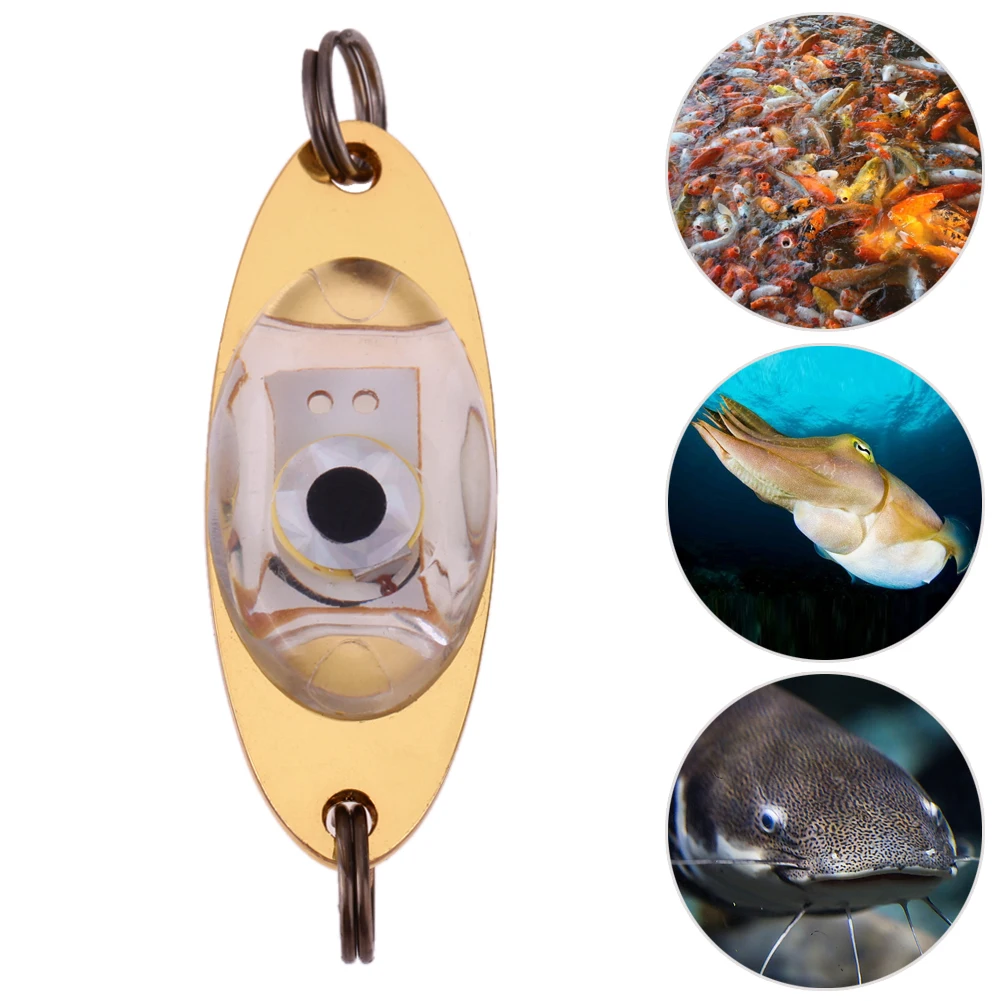 6cm LED Deep Drop Underwater Eye Shape Electronic Fishing Lure Squid Fishing Light Emitting False Bait Lamp FREE POST
6cm LED Deep Drop Underwater Eye Shape Electronic Fishing Lure Squid Fishing Light Emitting False Bait Lamp FREE POST