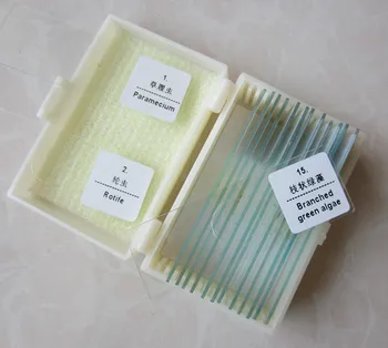 15pcs Glass Bio-microscope Prepared Basic Science Biological Microscope Slides Children Microscopy Specimen
15pcs Glass Bio-microscope Prepared Basic Science Biological Microscope Slides Children Microscopy Specimen