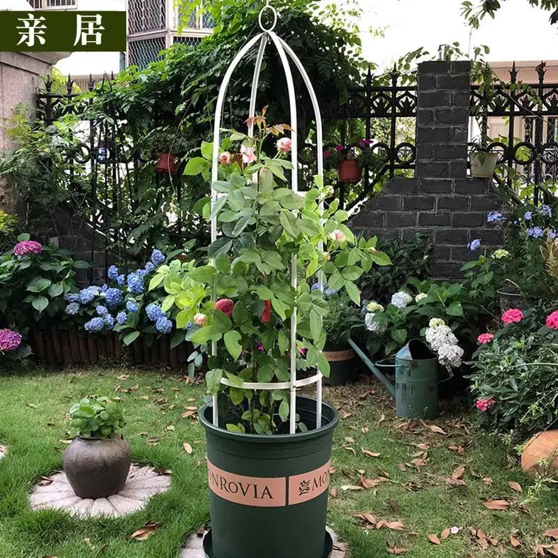 Column flower stand climbing vine gardening support plant climbing frame wrought iron pillar indoor and outdoor grape climbing
Column flower stand climbing vine gardening support plant climbing frame wrought iron pillar indoor and outdoor grape climbing