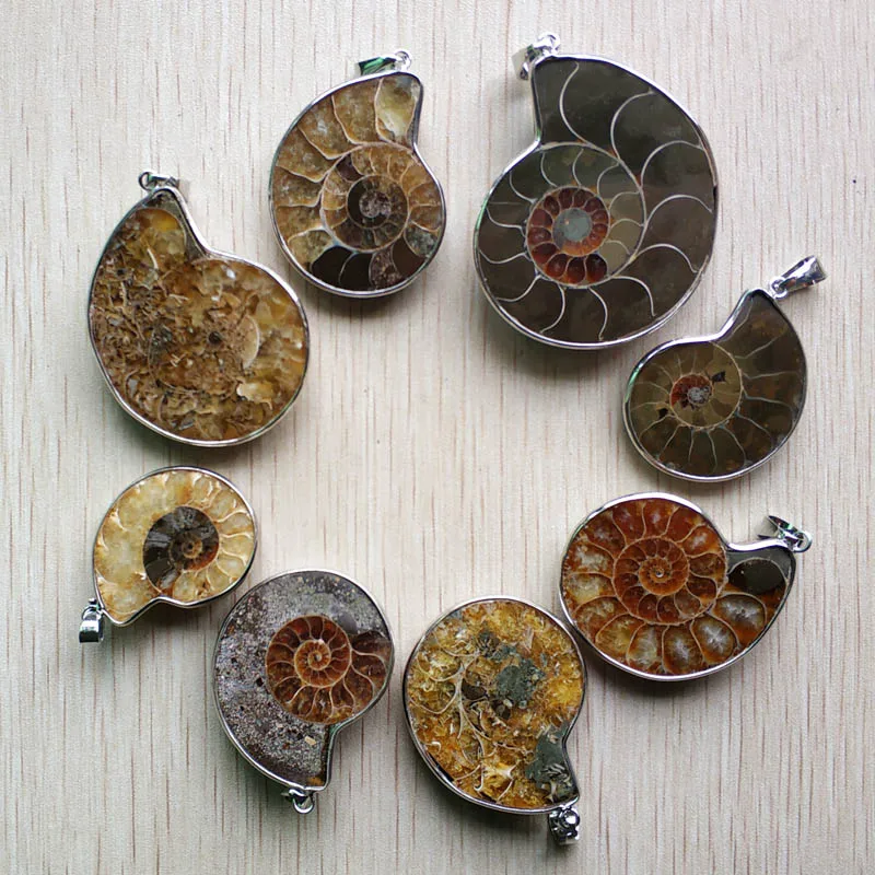 Wholesale 8pcs/lot fashion Natural Stone Ammonite Snail shell Fossils pendants for jewelry Accessories making free shipping
Wholesale 8pcs/lot fashion Natural Stone Ammonite Snail shell Fossils pendants for jewelry Accessories making free shipping