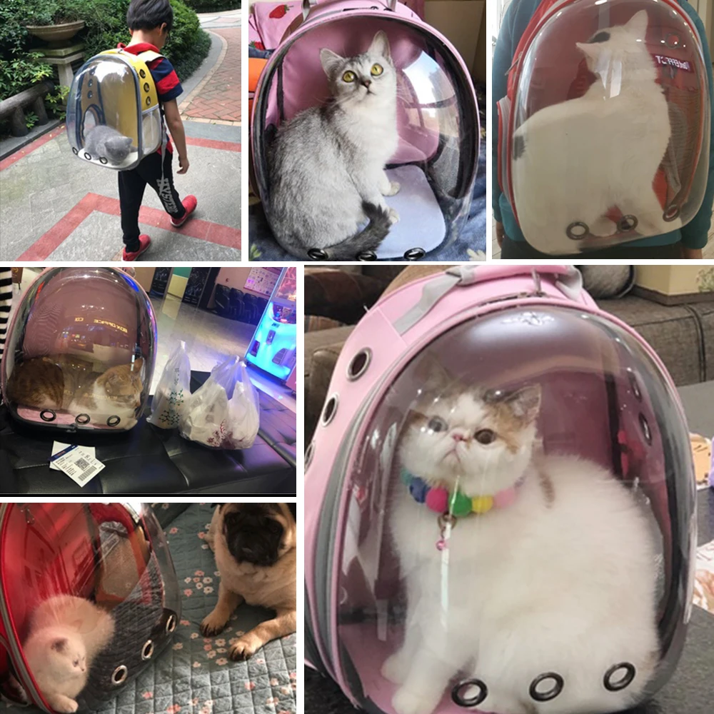 Воздухопроницаемая прозрачная сумка переноска для кошек рюкзак щенков летняя