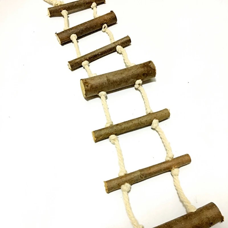 NT0609 (4)