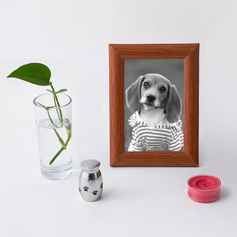 Stainless Steel Commemorative Cinerary Casket Creative Urn Small Memories Jar For Pet
Stainless Steel Commemorative Cinerary Casket Creative Urn Small Memories Jar For Pet