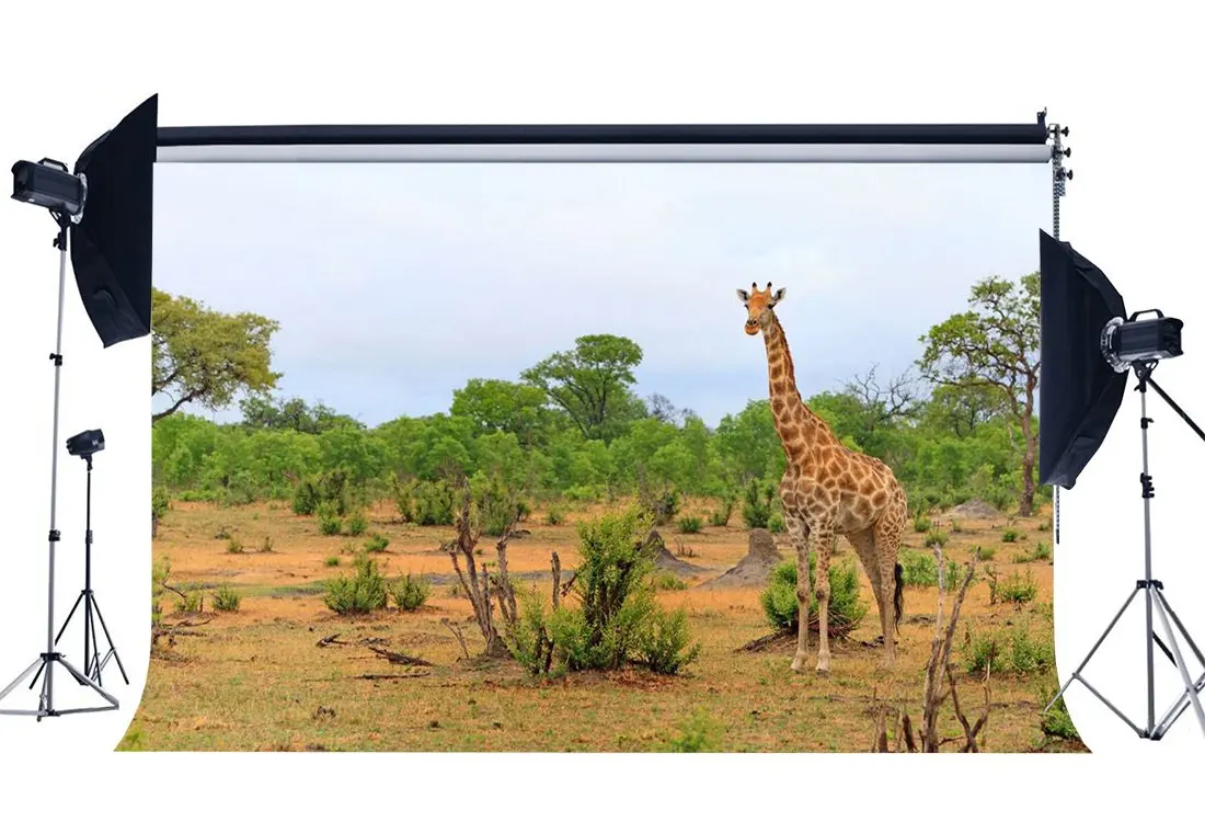 Zoo Backdrop Countryside Sika Deer Backdrops Jungle Forest Trees Nature Spring Photography Background
Zoo Backdrop Countryside Sika Deer Backdrops Jungle Forest Trees Nature Spring Photography Background