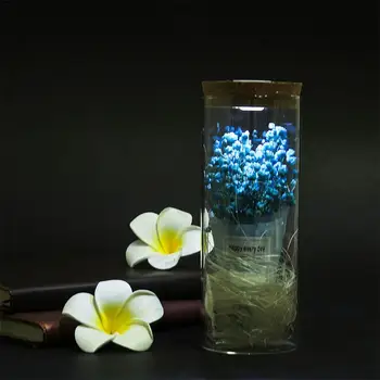 Starry Glass Jar Nightlight Decorative Led Table Night Light Simulation Flower Gift Micro Landscape for study, bedroom
Starry Glass Jar Nightlight Decorative Led Table Night Light Simulation Flower Gift Micro Landscape for study, bedroom