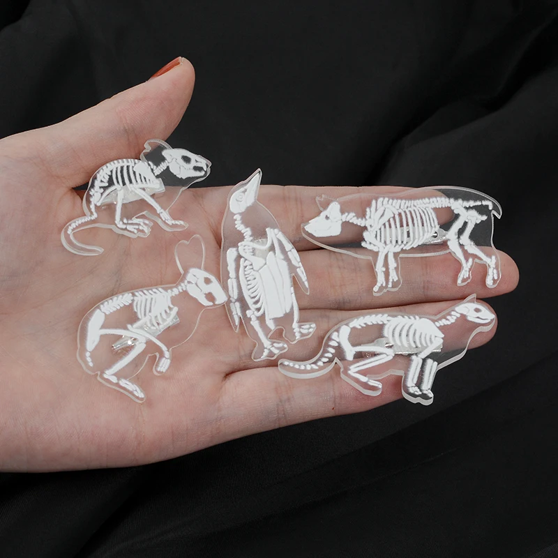 Animal Skull Brooch Acrylic Penguin Pig Rabbit Cat Mouse Skeleton Pin Badge Animal bone Brooch for Women Men Jewelry Pin Buckle
Animal Skull Brooch Acrylic Penguin Pig Rabbit Cat Mouse Skeleton Pin Badge Animal bone Brooch for Women Men Jewelry Pin Buckle