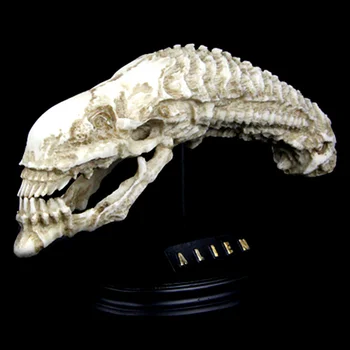 1/6 Scale Alien Vs Predator Anime Figure AVP Alien Dolls Alien Skull Action Figure Resin Statue Bust Model Decoration Toy Ver
1/6 Scale Alien Vs Predator Anime Figure AVP Alien Dolls Alien Skull Action Figure Resin Statue Bust Model Decoration Toy Ver