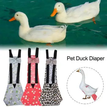 Pet Diaper Chicken Duck Diaper Farm Clothing Pet Cleaning Diaper Products Livestock Poultry Cleaning Supplies New Arrival
Pet Diaper Chicken Duck Diaper Farm Clothing Pet Cleaning Diaper Products Livestock Poultry Cleaning Supplies New Arrival