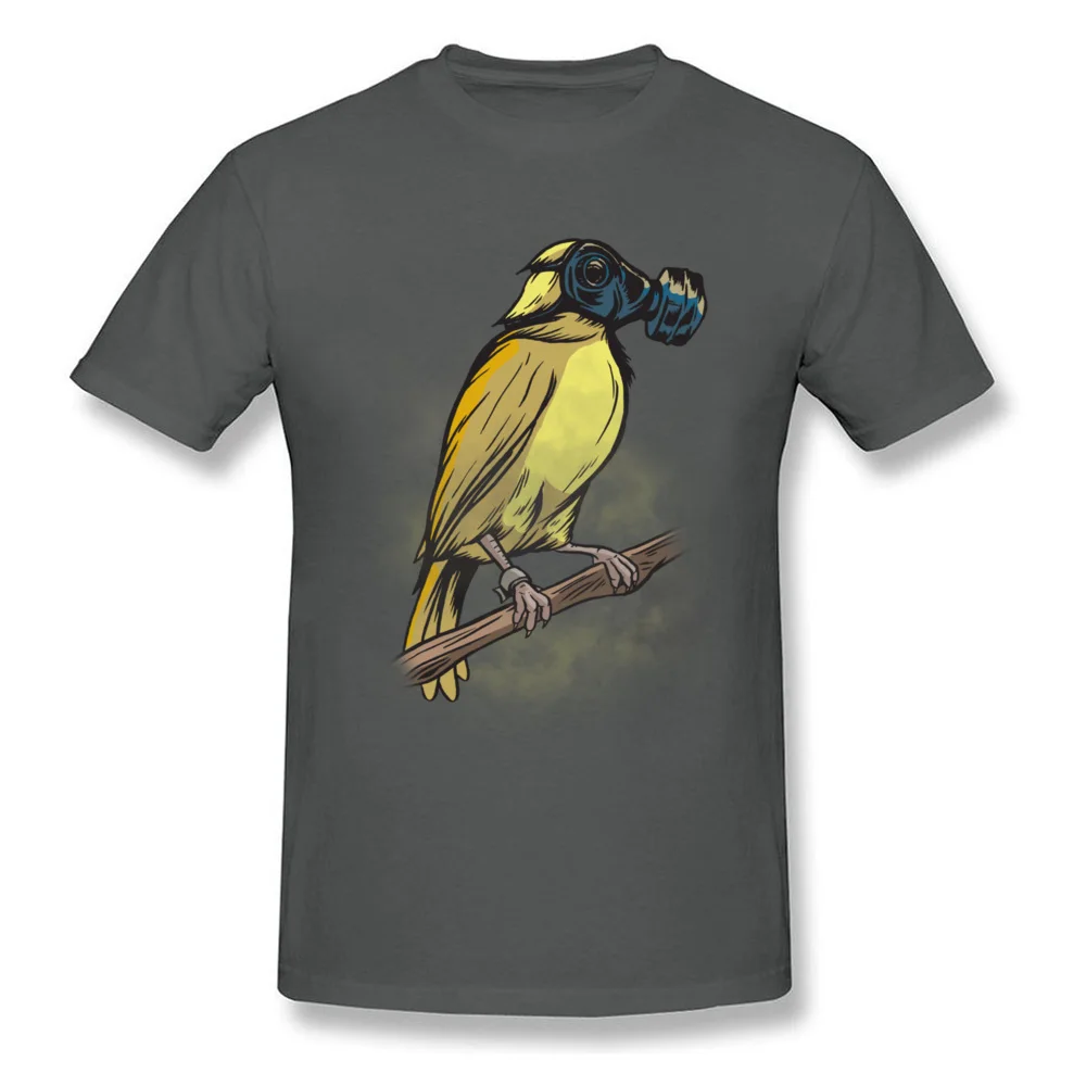 Contaminated Canary_carbon