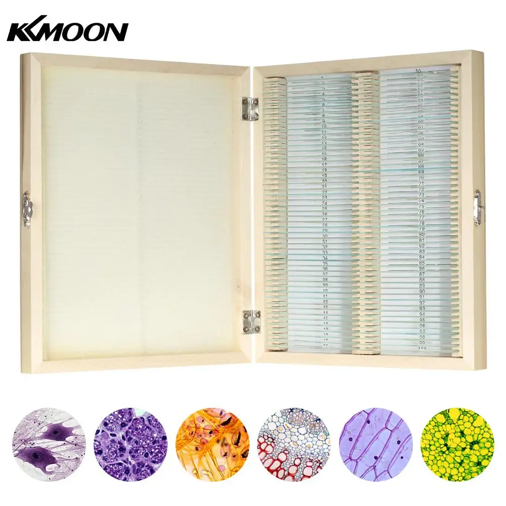KKmoon 100pcs/set Prepared Microscope Slides Animal Plants Insects Tissues Biological Specimens Slides Set with Wooden Case
KKmoon 100pcs/set Prepared Microscope Slides Animal Plants Insects Tissues Biological Specimens Slides Set with Wooden Case