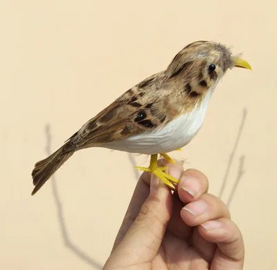 beautiful feathers sparrow artificial bird about 12cm feathers bird handicraft,prop,home garden decoration gift p2771
beautiful feathers sparrow artificial bird about 12cm feathers bird handicraft,prop,home garden decoration gift p2771