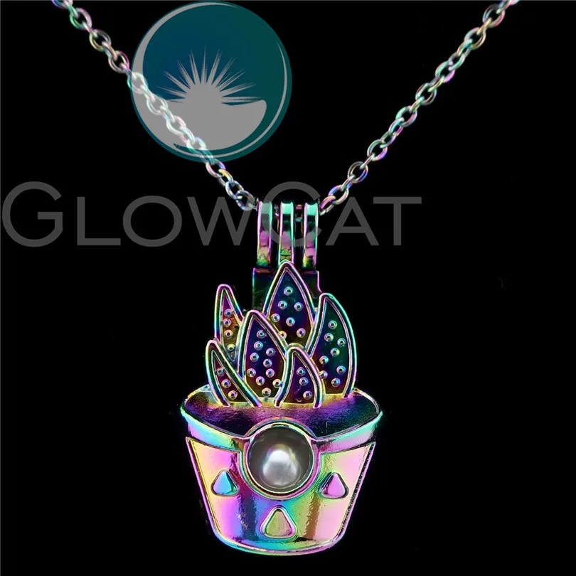 C821 Rainbow Color Cactus Potted Plant Beads Cage Perfume Essential Oil Diffuser Oyster Pearl Cage Locket Necklace
C821 Rainbow Color Cactus Potted Plant Beads Cage Perfume Essential Oil Diffuser Oyster Pearl Cage Locket Necklace
