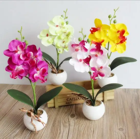 High Quality 4 kinds style vase + flowers meters spring scenery Phalaenopsis artificial flower set home decoration Birthday Gift
High Quality 4 kinds style vase + flowers meters spring scenery Phalaenopsis artificial flower set home decoration Birthday Gift