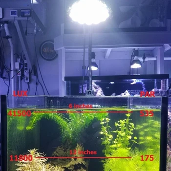 Par38 54W LED Aquarium Light E27 White 6500K Plant Grow Bulb VEG for Freshwater Fish Tanks
Par38 54W LED Aquarium Light E27 White 6500K Plant Grow Bulb VEG for Freshwater Fish Tanks