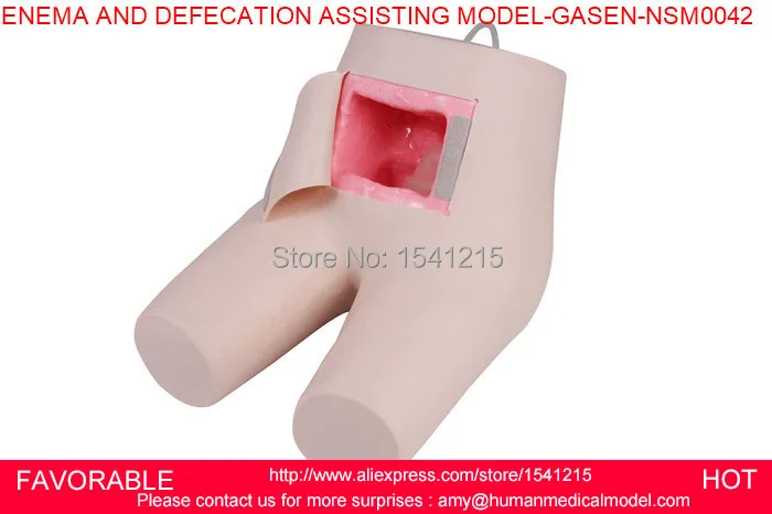 ENEMA AND ASSISTED DEFECATION TRAINING SIMULATOR, ENEMA AND DEFECATION MODEL,ENEMA AND DEFECATION ASSISTING MODEL-GASEN-NSM0042
ENEMA AND ASSISTED DEFECATION TRAINING SIMULATOR, ENEMA AND DEFECATION MODEL,ENEMA AND DEFECATION ASSISTING MODEL-GASEN-NSM0042