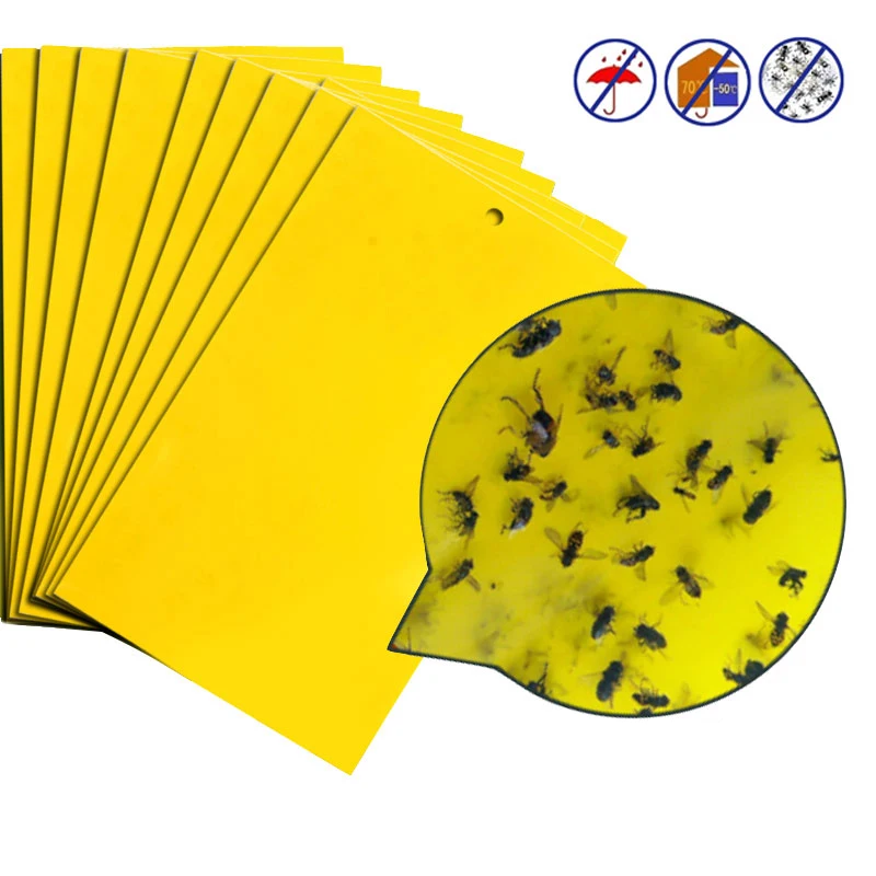 1pcs/lot Yellow Pest Control Strong Flies Traps Bedbugs Sticky Board Catching Aphid Insects Killer White Fly Thrip Fruit Mover
1pcs/lot Yellow Pest Control Strong Flies Traps Bedbugs Sticky Board Catching Aphid Insects Killer White Fly Thrip Fruit Mover