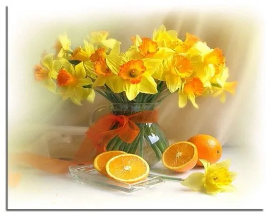 Fruit flower diamond embroidery kit beads embroidery picture diamond mosaic diamond pattern needlework Set for embroidery stitch
Fruit flower diamond embroidery kit beads embroidery picture diamond mosaic diamond pattern needlework Set for embroidery stitch