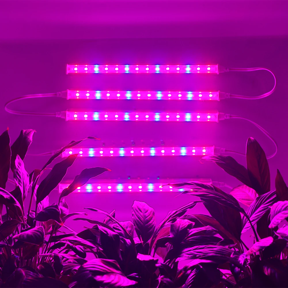 BORUiT Red Blue Grow Light Phyto Grow Led 25W Full Spectrum Plant Light Hydroponics Grow Light For Indoor Plants Flower
BORUiT Red Blue Grow Light Phyto Grow Led 25W Full Spectrum Plant Light Hydroponics Grow Light For Indoor Plants Flower