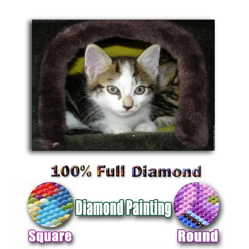 Full Square/Round Drill 5D DIY Diamond Painting "Animal cat" 3D Embroidery Cross Stitch Mosaic Decor Gift
Full Square/Round Drill 5D DIY Diamond Painting "Animal cat" 3D Embroidery Cross Stitch Mosaic Decor Gift