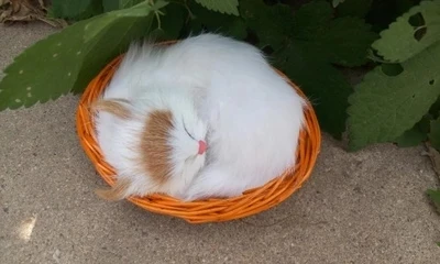 Маленькая игрушка для кошки с желтой головой, кукла из полиэтила и меха для кошки в корзине, подарок, около 11x10 см, 2032
Маленькая игрушка для кошки с желтой головой, кукла из полиэтила и меха для кошки в корзине, подарок, около 11x10 см, 2032