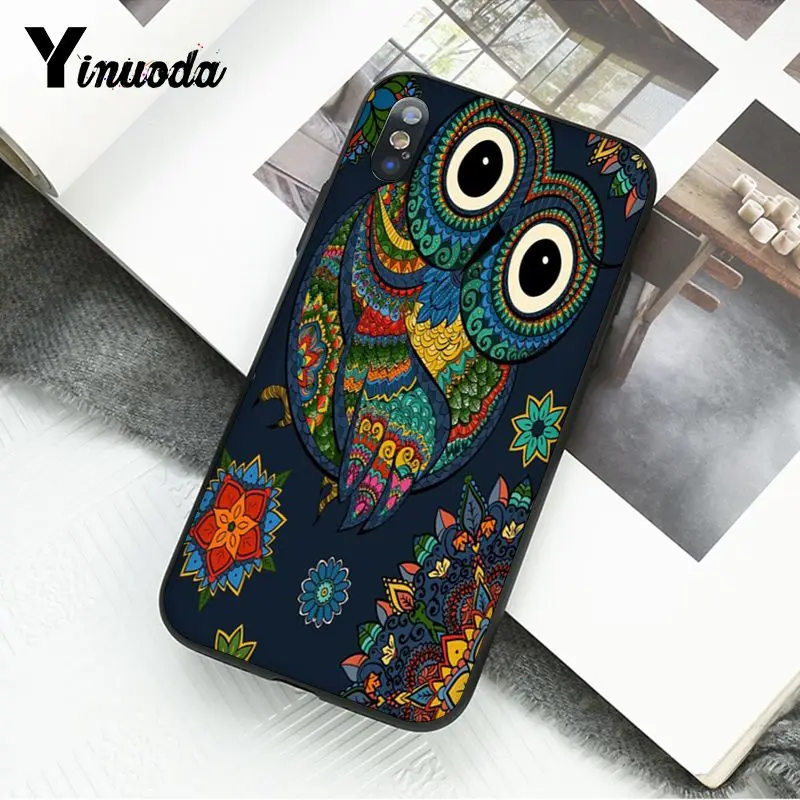 Animal Cute Cartoon Owl