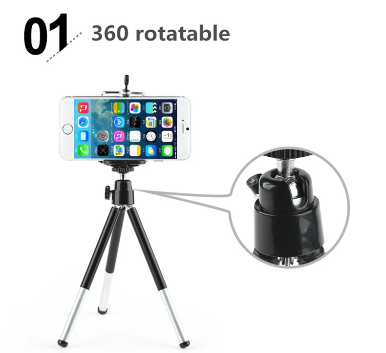 tripod holder (10)