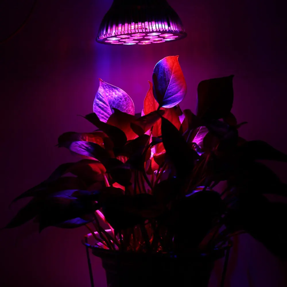 18W 18 LEDs Led Full Spectrum LED Grow Light Hydroponic Systems Plant Lamp Plant Growing Led Light
18W 18 LEDs Led Full Spectrum LED Grow Light Hydroponic Systems Plant Lamp Plant Growing Led Light