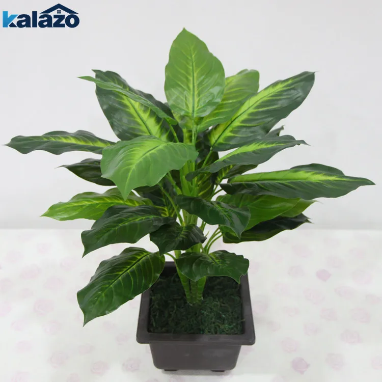 1pc Large 50CM Evergreen Artificial Plant With Leaves Plastic Green Tree Potted Bonsai Home Balcony Decorations
1pc Large 50CM Evergreen Artificial Plant With Leaves Plastic Green Tree Potted Bonsai Home Balcony Decorations
