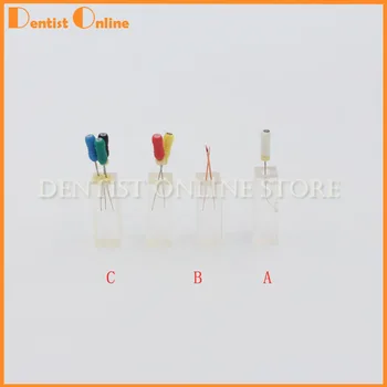 1:1 Resin Dental Endodontic Student Study Practice Operation Model Transparent without files
1:1 Resin Dental Endodontic Student Study Practice Operation Model Transparent without files