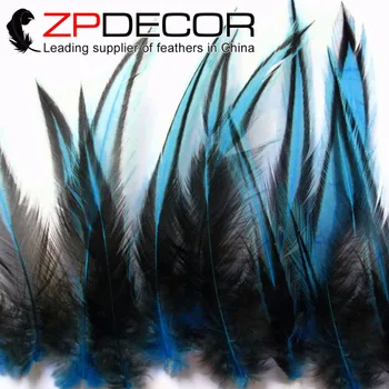 ZPDECOR Unique Feathers 100pcs/lot 10-15cm(4-6inch) Dyed Turquoise Blue Clean Tidy Lace long Rooster Cape Feathers for Fishing
ZPDECOR Unique Feathers 100pcs/lot 10-15cm(4-6inch) Dyed Turquoise Blue Clean Tidy Lace long Rooster Cape Feathers for Fishing
