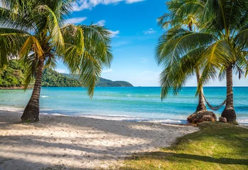 Havana Nights Havana Cuban Wedding Sea Beach Backdrop Palm Bush Romantic Seaside Photo Booth XT-6863
Havana Nights Havana Cuban Wedding Sea Beach Backdrop Palm Bush Romantic Seaside Photo Booth XT-6863