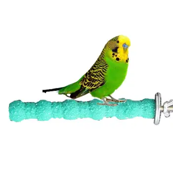 Bird Wood Perch Stand Paw Grinding Stick Platform for Parrot Budgies Parakeet Cockatiels Conure Cage Accessories (Random Color)
Bird Wood Perch Stand Paw Grinding Stick Platform for Parrot Budgies Parakeet Cockatiels Conure Cage Accessories (Random Color)
