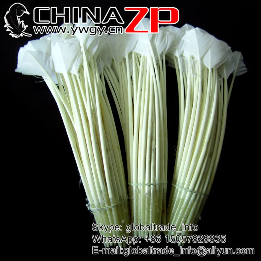 CHINAZP Wholesale Colorful Turkey Feathers 30~35cm Hand Select Colorful Arrowhead Turkey Quill Feather for Millinery
CHINAZP Wholesale Colorful Turkey Feathers 30~35cm Hand Select Colorful Arrowhead Turkey Quill Feather for Millinery