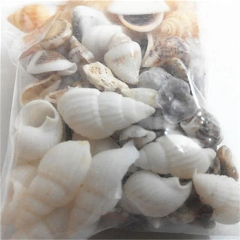 1 bag Mini Sheel Useful 40pcs Tiny Mixed Seashells Real Small Sea Shells Craft Wedding Beach Confetti
1 bag Mini Sheel Useful 40pcs Tiny Mixed Seashells Real Small Sea Shells Craft Wedding Beach Confetti