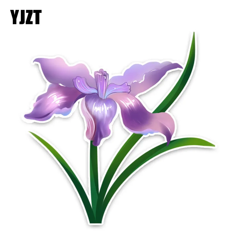 YJZT 13*12.9CM Beautiful Irises Flowers Purple Car Stickers Accessories Decal 11A1397
YJZT 13*12.9CM Beautiful Irises Flowers Purple Car Stickers Accessories Decal 11A1397