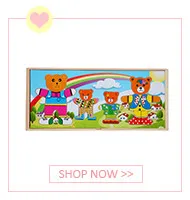 children brain teaser wooden