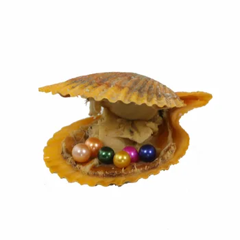 Wholesale 20pcs Round Akoya 6-7mm Red Pearl With Oyster Vacuum-packed , Popular Oysters Gifts RR0003
Wholesale 20pcs Round Akoya 6-7mm Red Pearl With Oyster Vacuum-packed , Popular Oysters Gifts RR0003