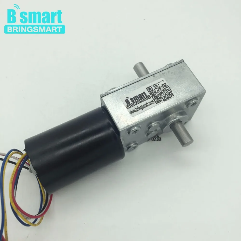 BringSmart BLDC Electric Motor Double Shaft Top Quality 24V Brushless DC Worm Gear Motor 12V Micro Gear Motor 5840-3650
BringSmart BLDC Electric Motor Double Shaft Top Quality 24V Brushless DC Worm Gear Motor 12V Micro Gear Motor 5840-3650
