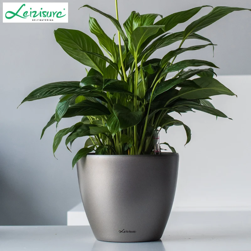 Automatic water storage water flower pots lazy automatic paint technology desktop mini pots
Automatic water storage water flower pots lazy automatic paint technology desktop mini pots