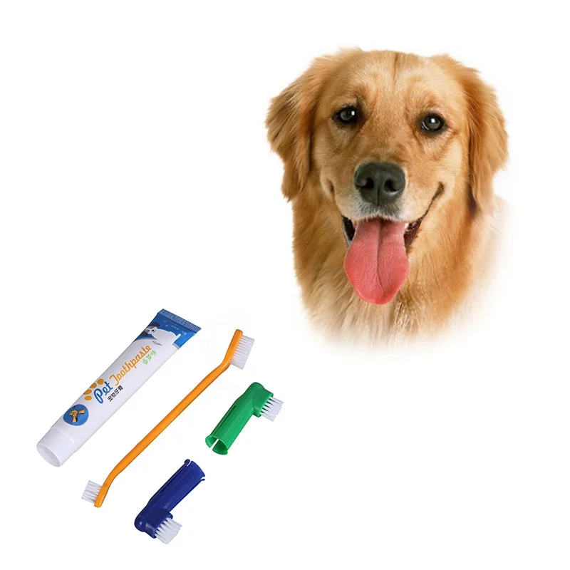 New Vanilla Flavor Of Toothpaste For P Cat Puppy Dog Teeth Heath 1 Toothpaste With 3 Toothbrush Heads Beef Vanilla flavor
New Vanilla Flavor Of Toothpaste For P Cat Puppy Dog Teeth Heath 1 Toothpaste With 3 Toothbrush Heads Beef Vanilla flavor