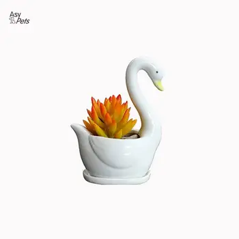 AsyPets 1pc White Ceramic Swans Flower Succulent Planter Pot Ornaments for Home Decoration -25
AsyPets 1pc White Ceramic Swans Flower Succulent Planter Pot Ornaments for Home Decoration -25