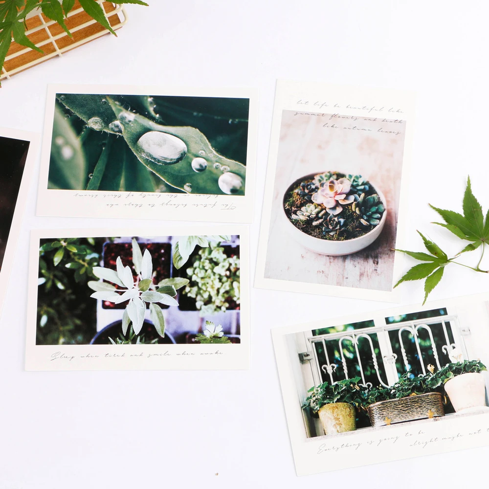30pcs collect Plant design card multi-use as Scrapbooking party invitation DIY Decoration gift card message card postcard
30pcs collect Plant design card multi-use as Scrapbooking party invitation DIY Decoration gift card message card postcard
