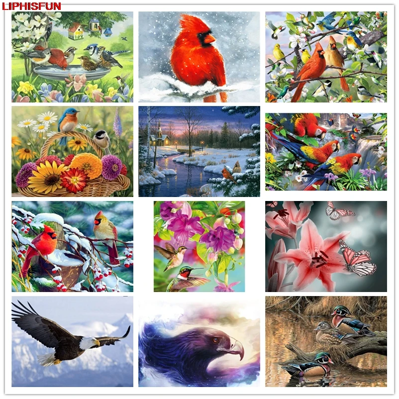 5D Full Drill Diy Diamond Painting Cross Stitch Resin Square/round Diamond Embroidery Decoration animal scenery picture bird
5D Full Drill Diy Diamond Painting Cross Stitch Resin Square/round Diamond Embroidery Decoration animal scenery picture bird